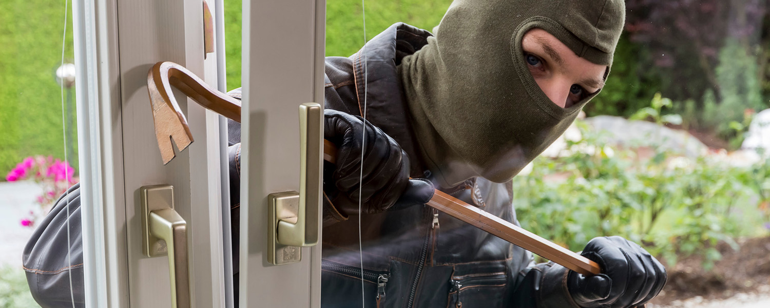 Intellectual Property Crimes Lawyer Boyle and Jasari