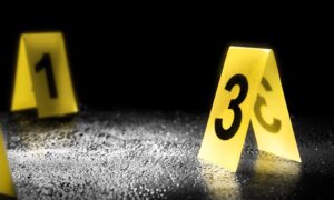 Circumstantial Evidence and A Dead Snake by Dennis Boyle